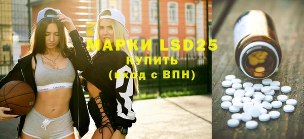 шишки Новодвинск